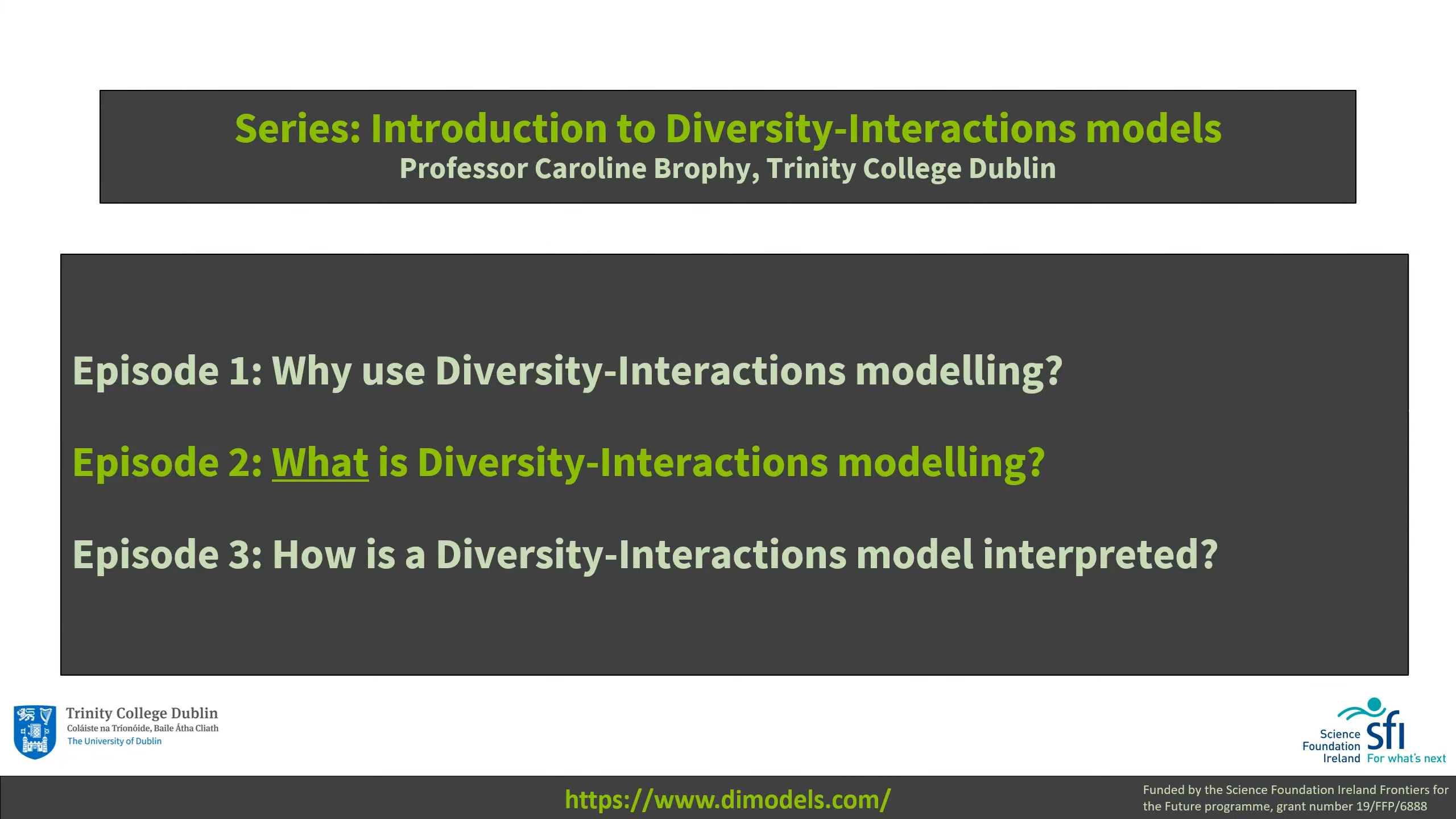 What is DI model video